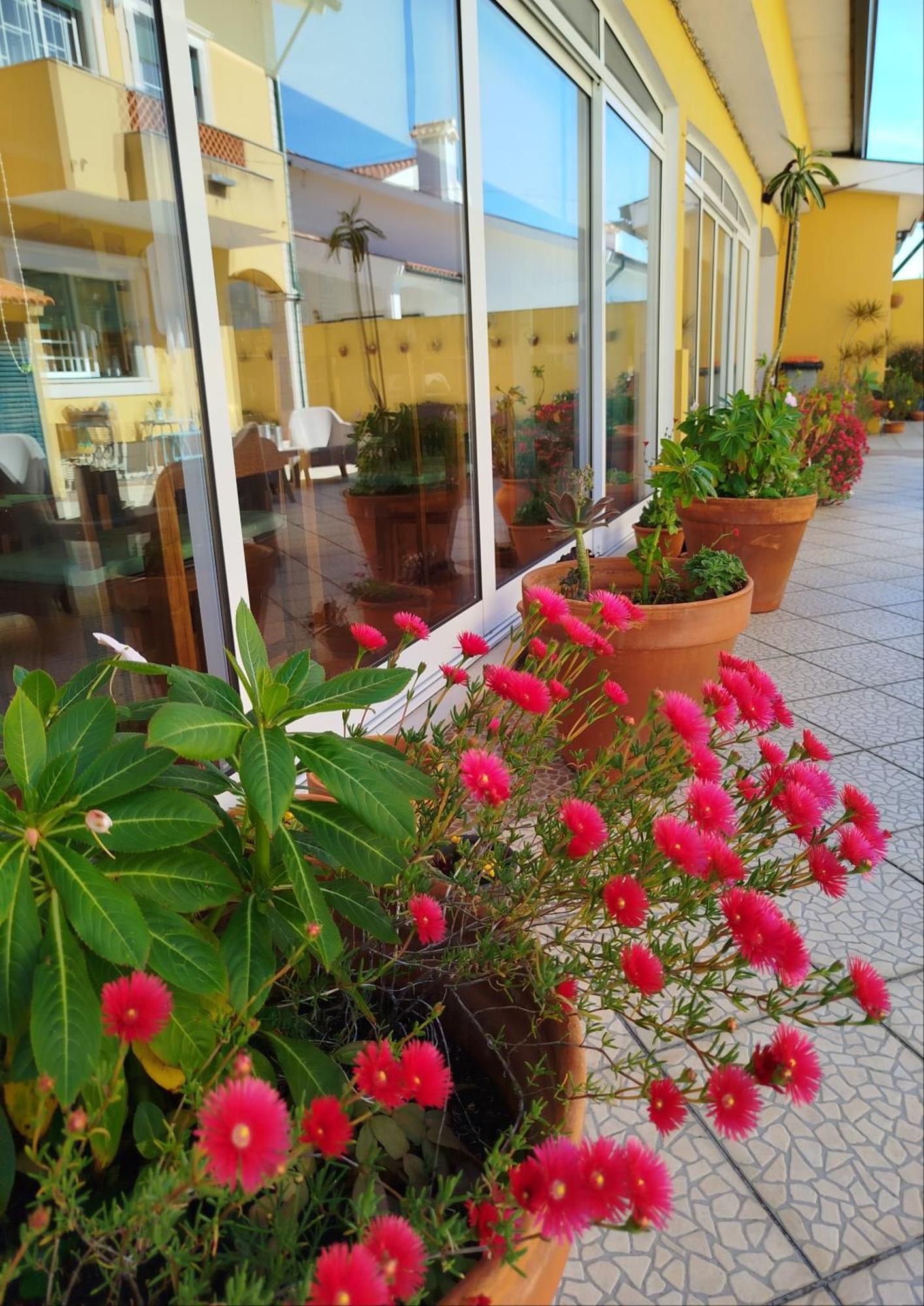 Hotel A Casa Da Ti Laura - Al Aveiro Exterior foto